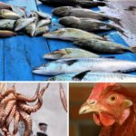 Aves, pescados, moluscos y crustáceos de temporada
